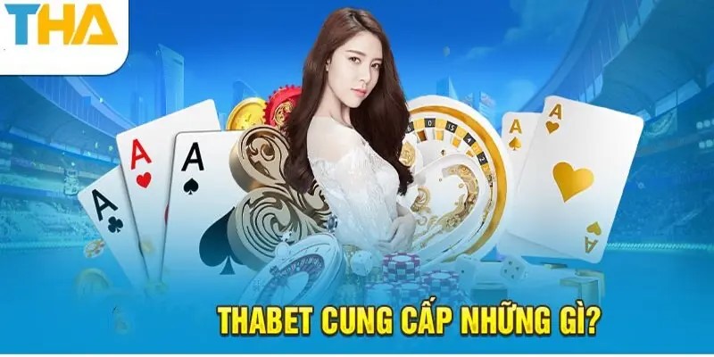 Đánh giá cộng đồng về THABET
