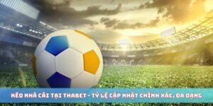 Kèo Nhà Cái Tại THABET 2025 - Tỷ Lệ Cập Nhật Chính Xác, Đa Dạng