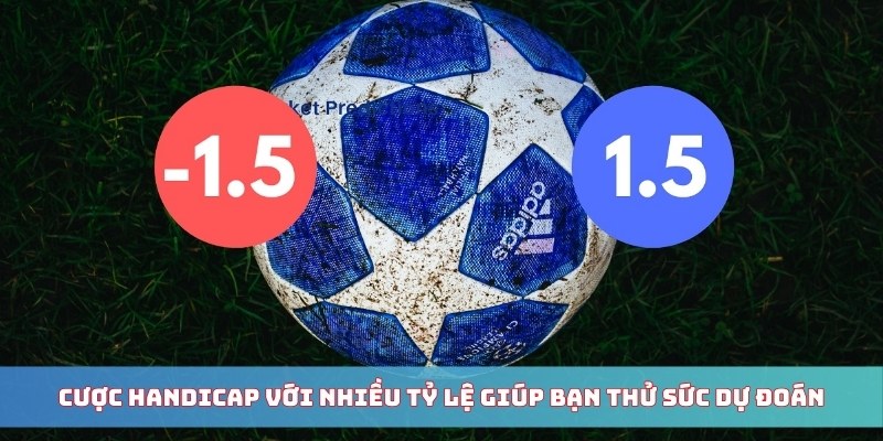 Kinh nghiệm đọc kèo siêu chuẩn từ cao thủ THABET