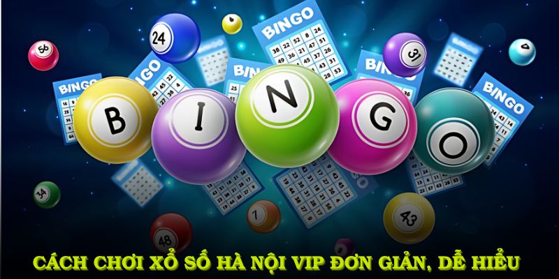 Tìm hiểu chi tiết về cách chơi xổ số Hà Nội Vip