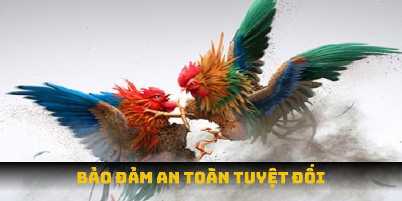 Ưu điểm vượt trội chỉ có tại đá gà THABET